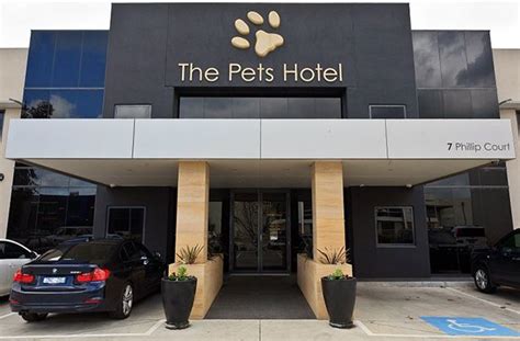 Approximately 80% of all Hilton hotel locations accept pets, though many charge a fee. Red Roof Inn allows one pet up to 80 pounds for free. Motel 6 allows up to two pets weighing 150 pounds ...